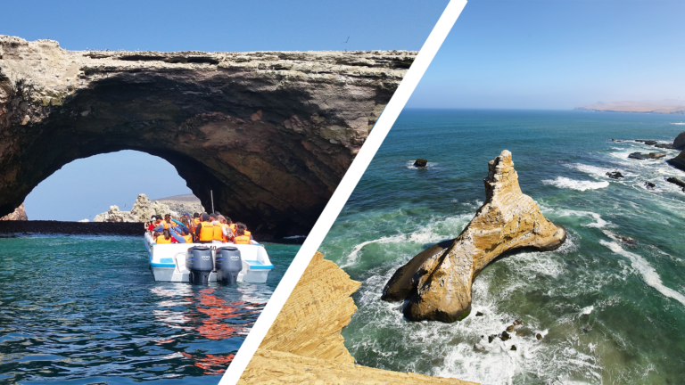 Ballestas Islands & Paracas National Reserve Tour From Ica