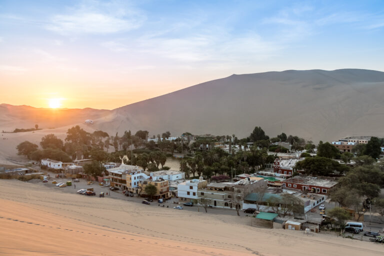 Paracas and Huacachina in 2 days