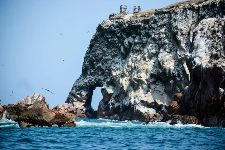 Ballestas Islands Guide: Prices, Fees and How to Get There (2026)