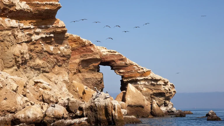Ballestas Islands & Huacachina Full Day Tour From Lima