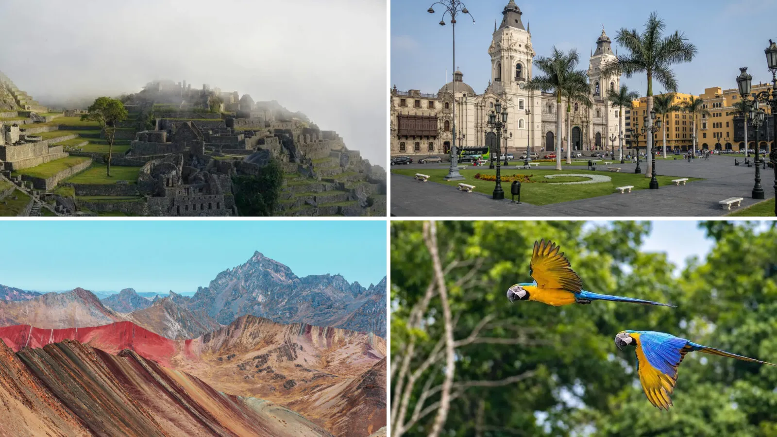 Peru collage: Machu Picchu, Lima Cathedral, Rainbow Mountain and macaws in the Tambopata rainforest