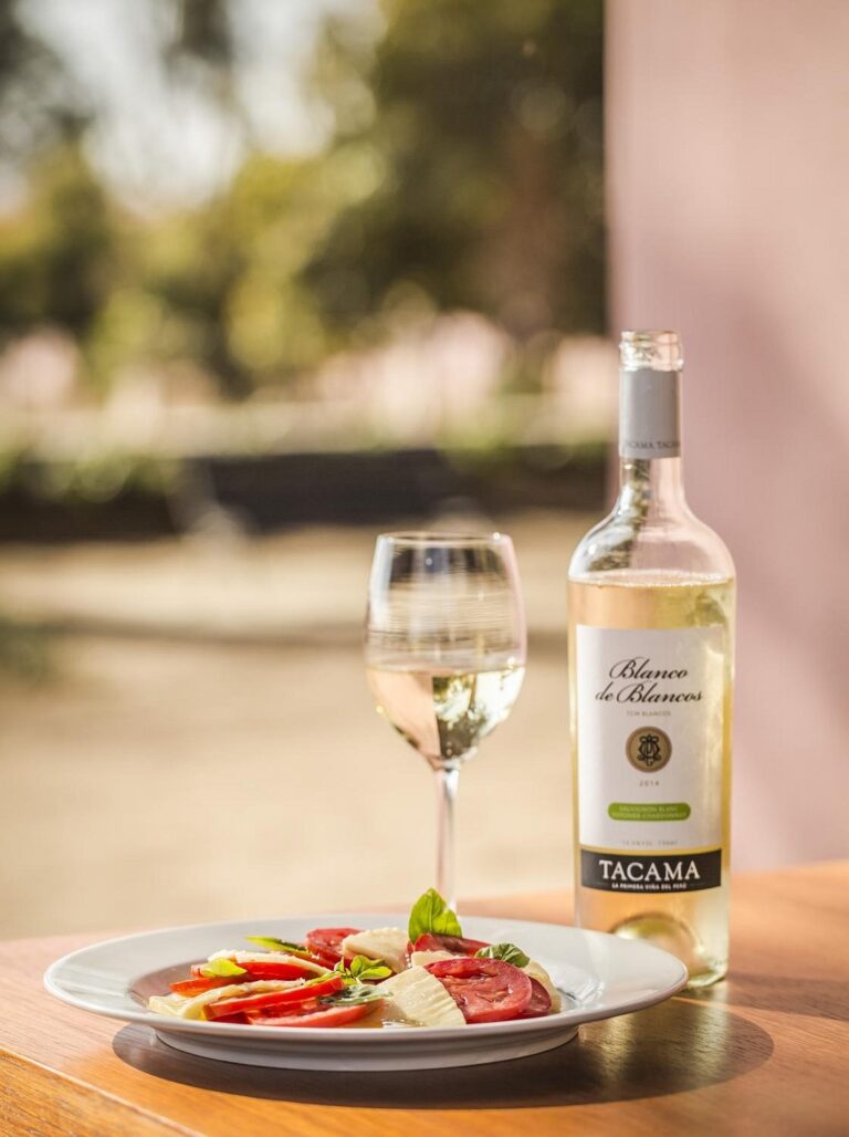 Ica Wineries: Which Pisco Bodegas to Visit and How to Get Around