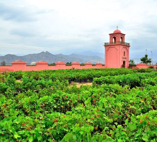 Campanario colonial de la bodega Tacama en el valle de Ica