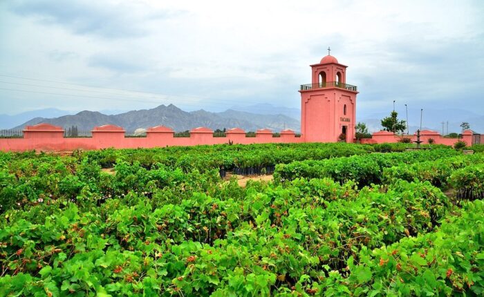 Campanario colonial de la bodega Tacama en el valle de Ica