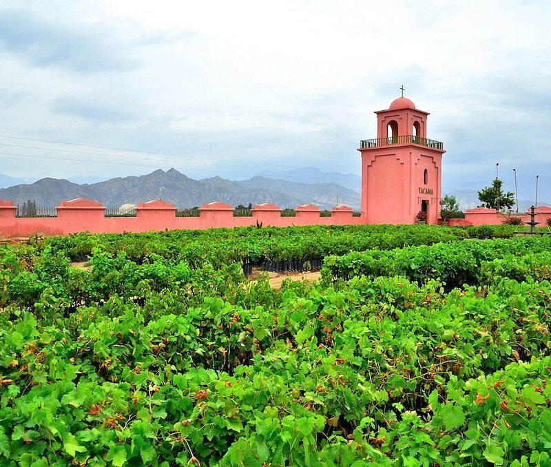 Campanario colonial de la bodega Tacama en el valle de Ica