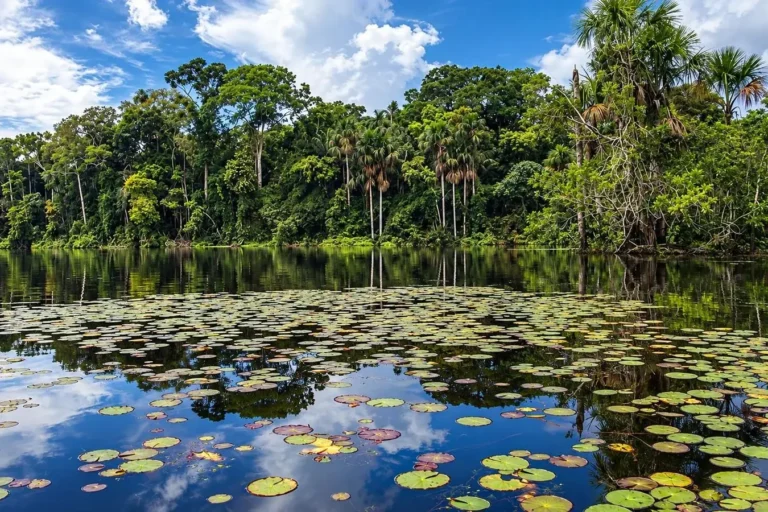 Tambopata