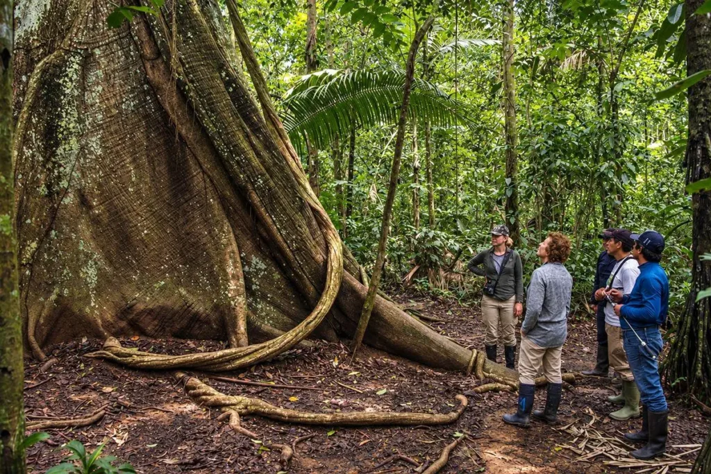 Naturalist guide with travelers beside a giant tree